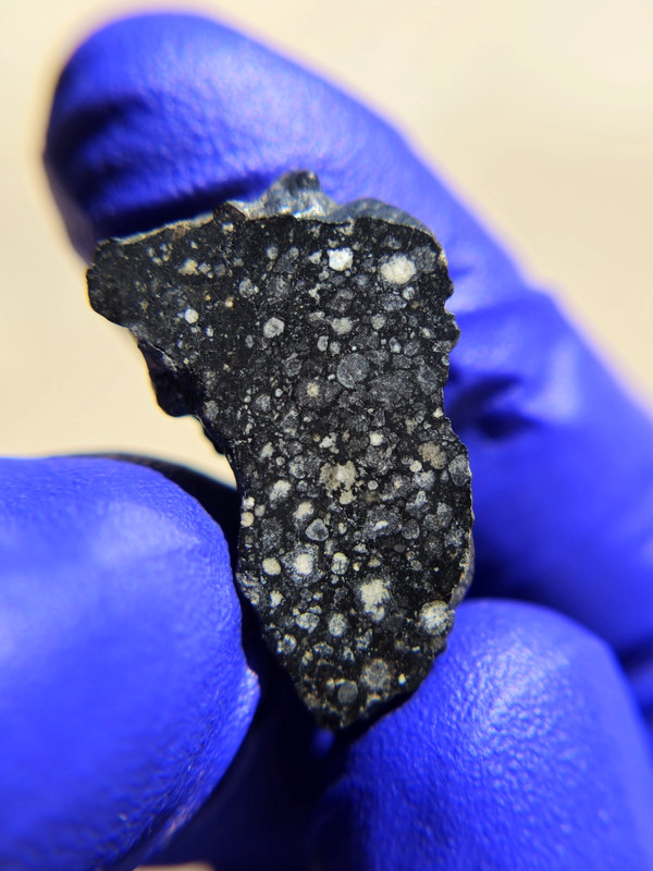 NWA 13522 CV3 Carbonaceous Chondrite Meteorite 3.959g Rare Individual COA