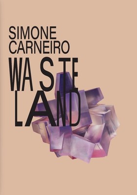 Simone Carneiro: Wasteland by Roland Sch?ny Hardcover Book
