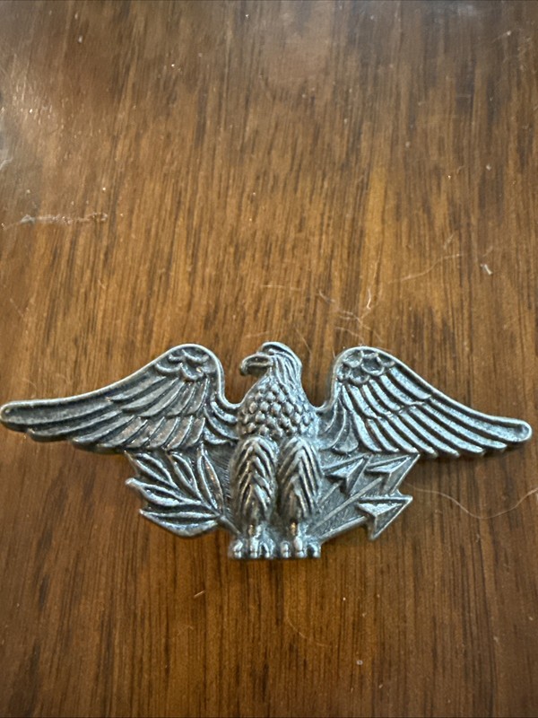 AS NYC 7402 Brass Eagle Arrows Branch Emblem Badge Helmet Furniture Wall Art MCM