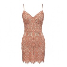 Express Lace Corset Mini Dress Small Pink Tan Coquette/ Soft Girl Y2K Night Out