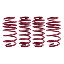 Vogtland Sport Lowering Springs Suits Renault Clio MK3 05-06/10