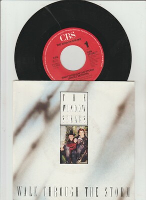 The Window Speaks - Walk through the Storm (1987) HOLLAND 7'' Single