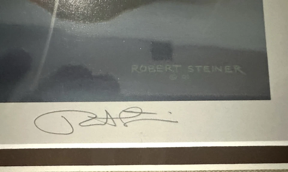Sello de pato edición del milenio 2001 de Robert Steiner 52/100 litografía Foto 3 de 4