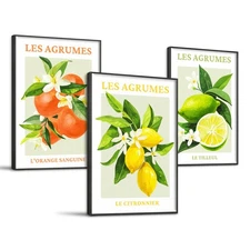 Fruit Botanical Wall Art for Kitchen, Lemon Prints Framed Canvas Wall Decor f...