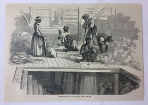 1880 magazine engraving ~ COTTON PACKING in South Carolina