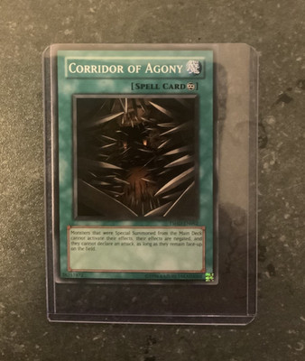 Korridor der Qual LP (TSHD-DE062) Common Yugioh Old School