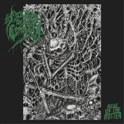 House By the Cemetery Rise of the Rotten (Vinyl) 12'' Album