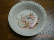 Poole Pottery Summer Glory - 7 " Cereal / Soup Rimmed Bowl