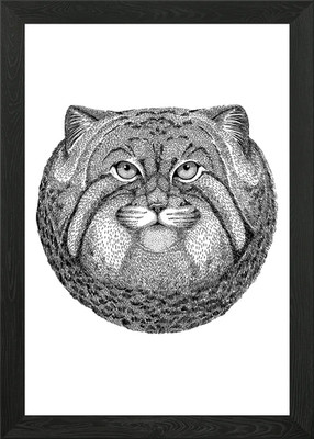 Cat Drawing Framed Wall Art Poster Canvas Print Picture