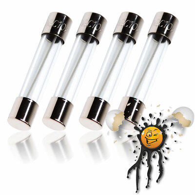 4 x FST Glassicherung Fein- Glas- Sicherung Littelfuse 6x30mm 250V F0,2-30A