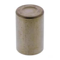 Bremssattelkolben Vorne BCP-118 FüR Honda FES 150 Pantheon Bj. 2003-2005