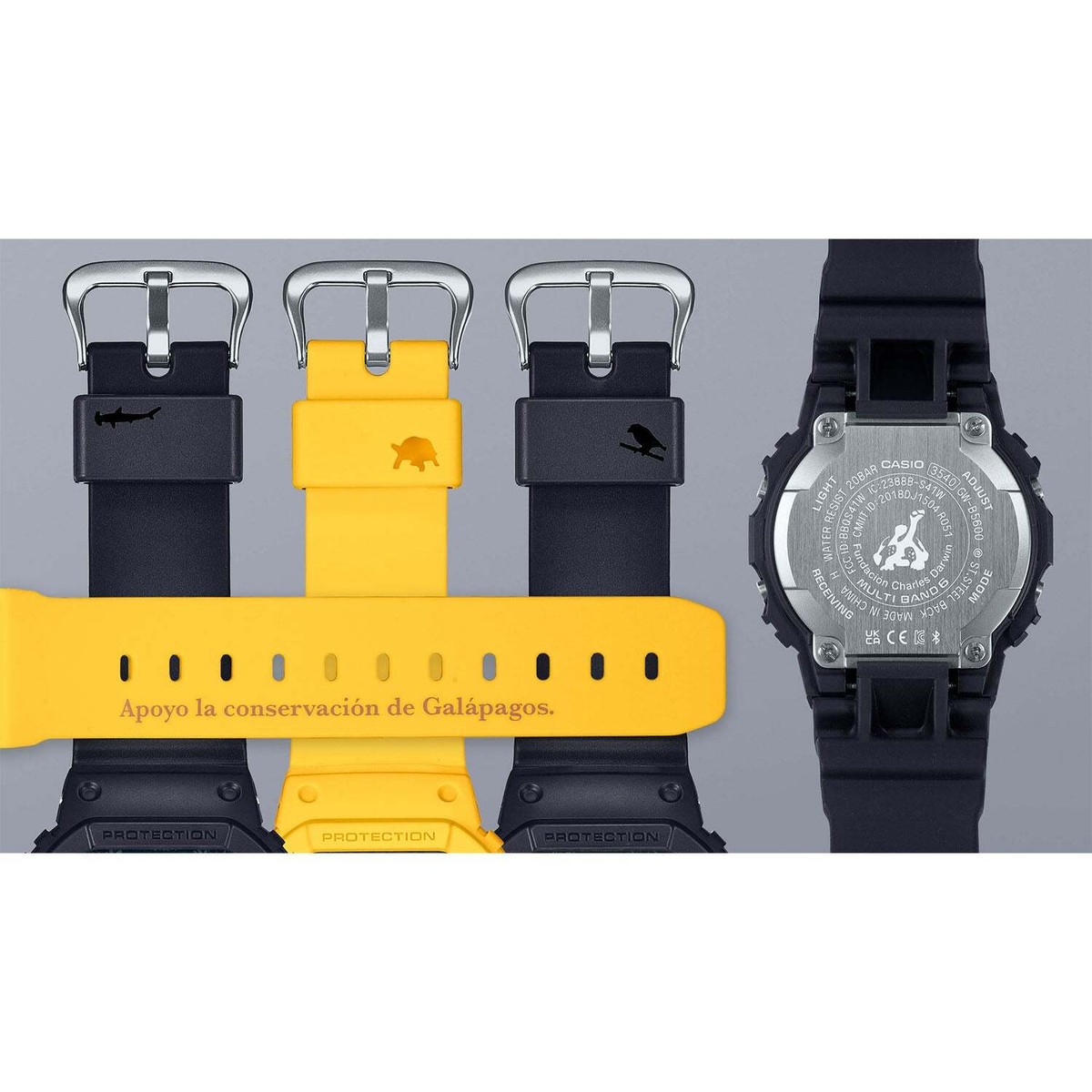 CASIO G-SHOCK GW-B5600CD-1A2JR Charles Darwin Foundation Bluetooth 