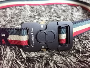 christian dior rollercoaster belt