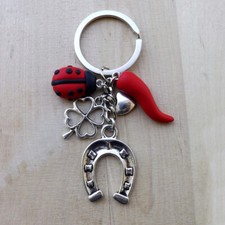 Portachiavi uomo donna ferro di cavallo corno coccinella portafortuna amuleto