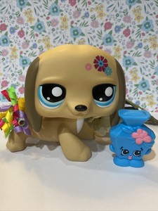 large pet shop