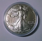 2021 Silver Eagle Type II