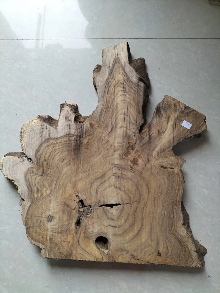 live edge slice of indian teak wood burl wood with high grains for casting craft - Image 4 of 4