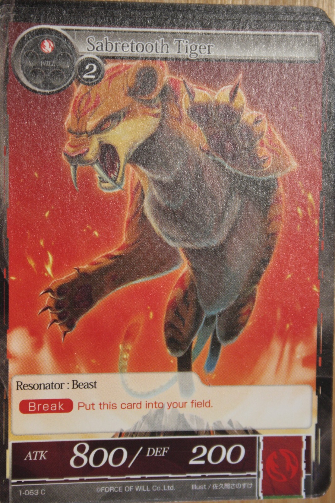 Picture 1 of 1