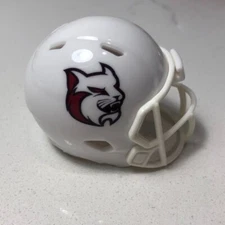 Anna Maria AmCats custom pocket pro helmet D3 Division 3