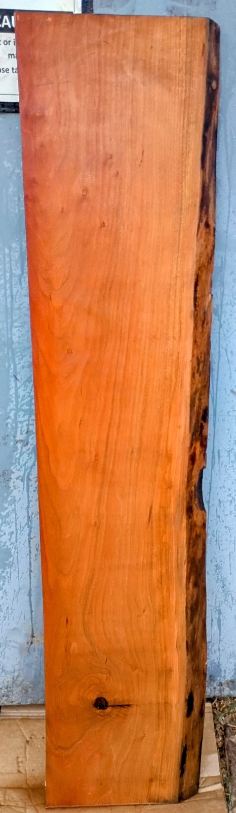 G2 Black Cherry Live Edge Slab 65x15x2 