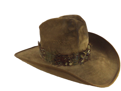 Hush Puppies Vintage Hat Brown Leather and Feathers Size 6 7  display picture 1