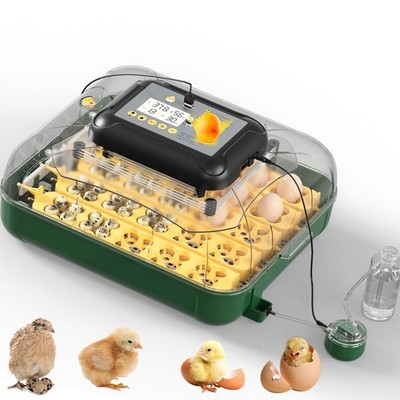 25 Egg Incubator for Hatching Eggs with Automatic Egg Turning, Temperature & ...