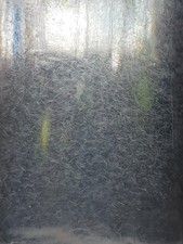 2 oz Live Vinegar Eel Culture