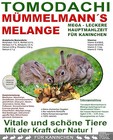 Bild 8 von 8