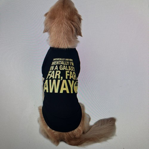 dog angel halo costume