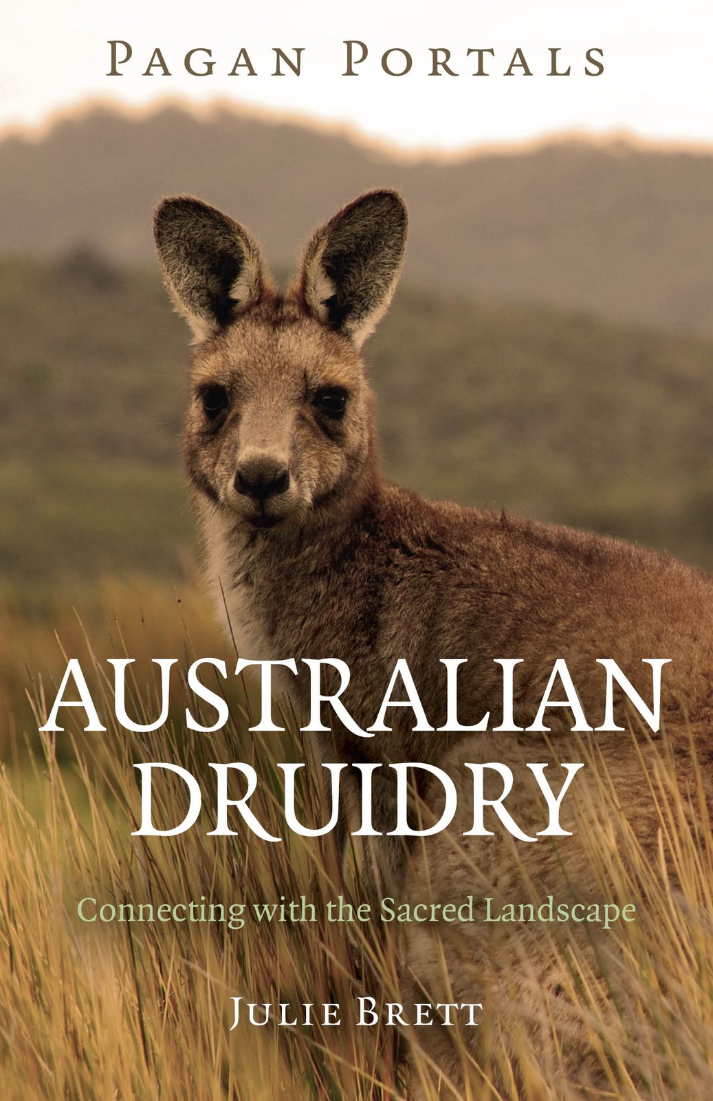 Pagan Portals – Australian Druidry – Connecting with the Sacred Landscape - Image 4