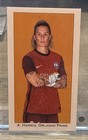 2021 Parkside NWSL Premier Edition Ashlyn Harris Americana Mini SP