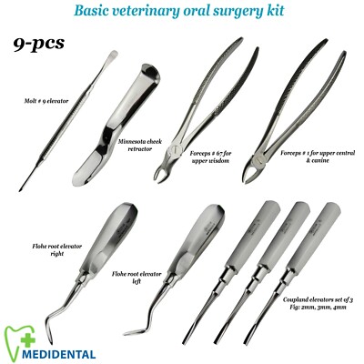 Chirurgische Oralchirurgie Zahnextraktionskit Tierarzt/Katze & Hund Zahnpinzette