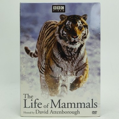 BBC The Life of Mammals David Attenborough (DVD, 2003) 4 Discs Box Set SEALED
