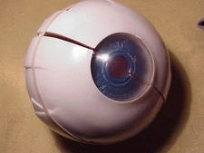 MEDICAL EYEBALL~1963 MERCK~w/STAND~SEE ALL PHOTOS
