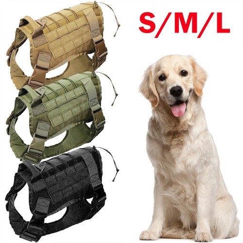 golden retriever tactical vest