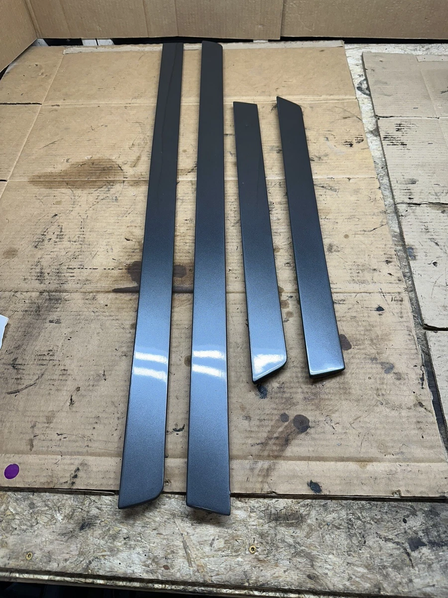 2003 Audi RS6 Lower Door Molding Set OEM Daytona Gray C5  