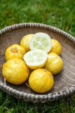 Lemon Cucumber Seeds (10 seeds)