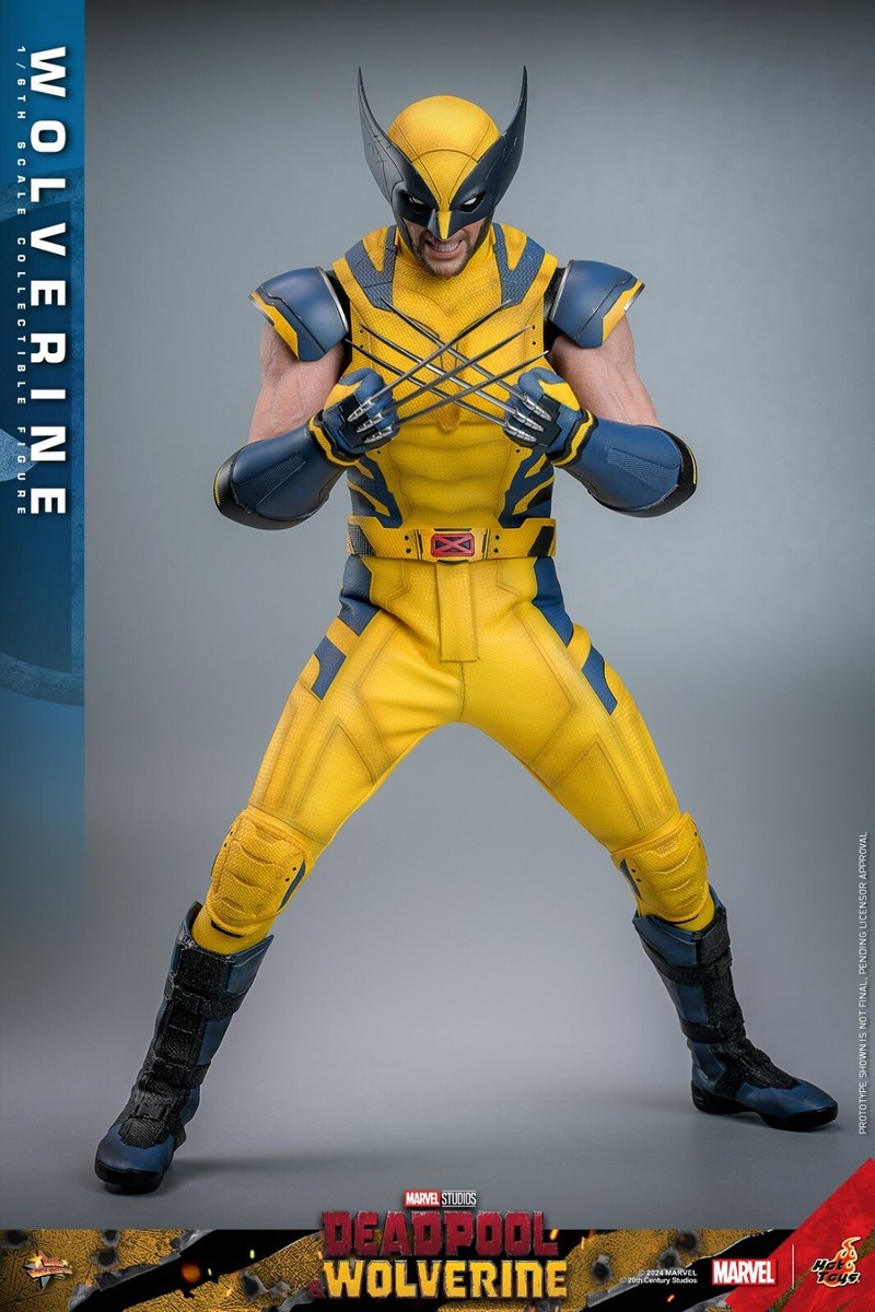 Ready! New Hot Toys MMS753 1/6 Wolverine Action Figure Normal
