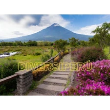 Digital Image nature Photo Wallpaper Background AI ART