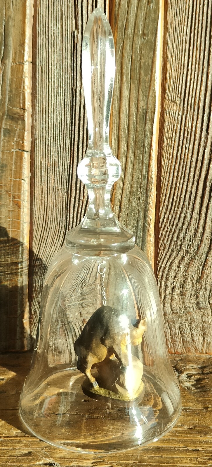 Foto 1 di 5