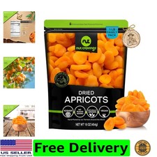 Dried Turkish Apricots, No Sugar Added, Unsweetened 16oz, 1 LB Sweet Healthy ...