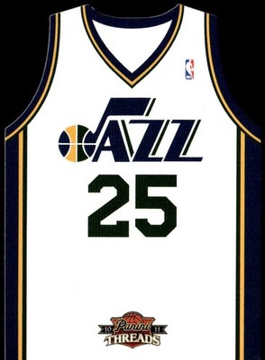 2010-11 Panini Threads #48 Al Jefferson Team Threads Home E1