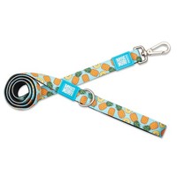 FüHrleine Max & Molly M Sweet Pineapple, Hundeleine, Nylon, Haustier ZubehöR