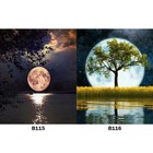 Bild 2 von 15