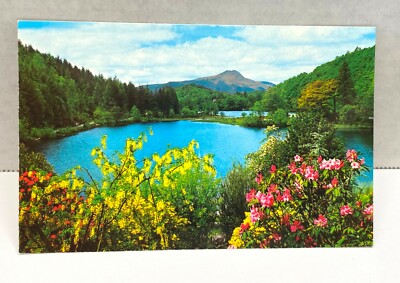 Loch Ard and Ben Lomond Souvenir Postcard Unposted Lake Trossachs England