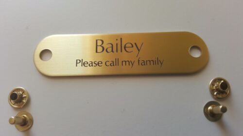 BRASS RIVET PET TAG ID FOR DOG COLLAR NAME ENGRAVED PLATE with RIVET SET - Picture 1 of 2