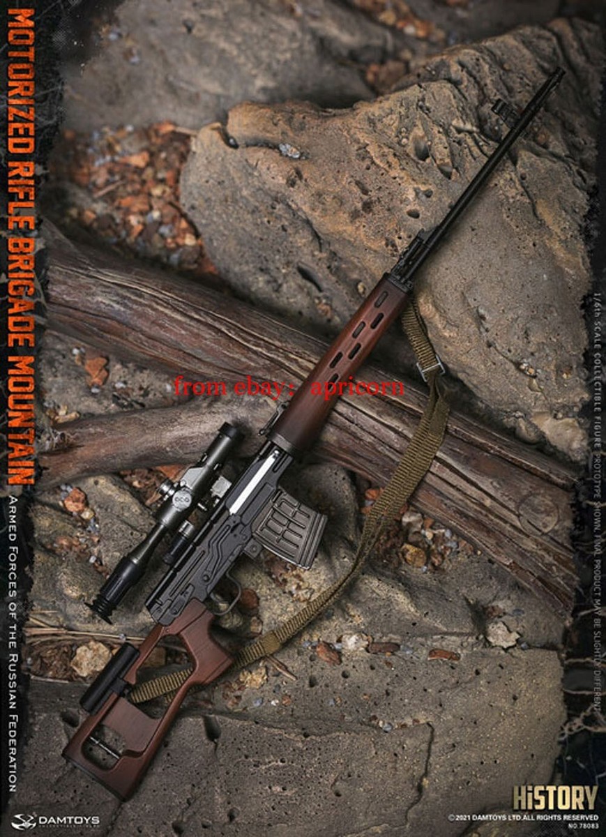 DAMTOYS DAM78083 Motorized Rifle Brigade Mountain 1/6 Action