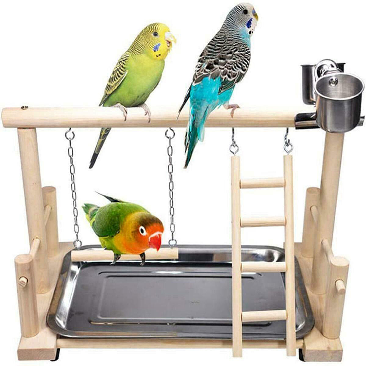 Parrot Playstand Bird Play Stand Cockatiel Playground Wood Perch Gym Toys
