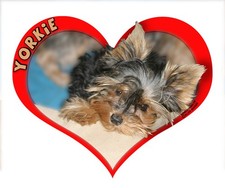 YORKIE Decal Sticker 6.5" Full Color Heart Shaped Outdoor Grade