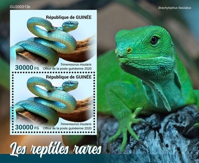 Rare reptiles